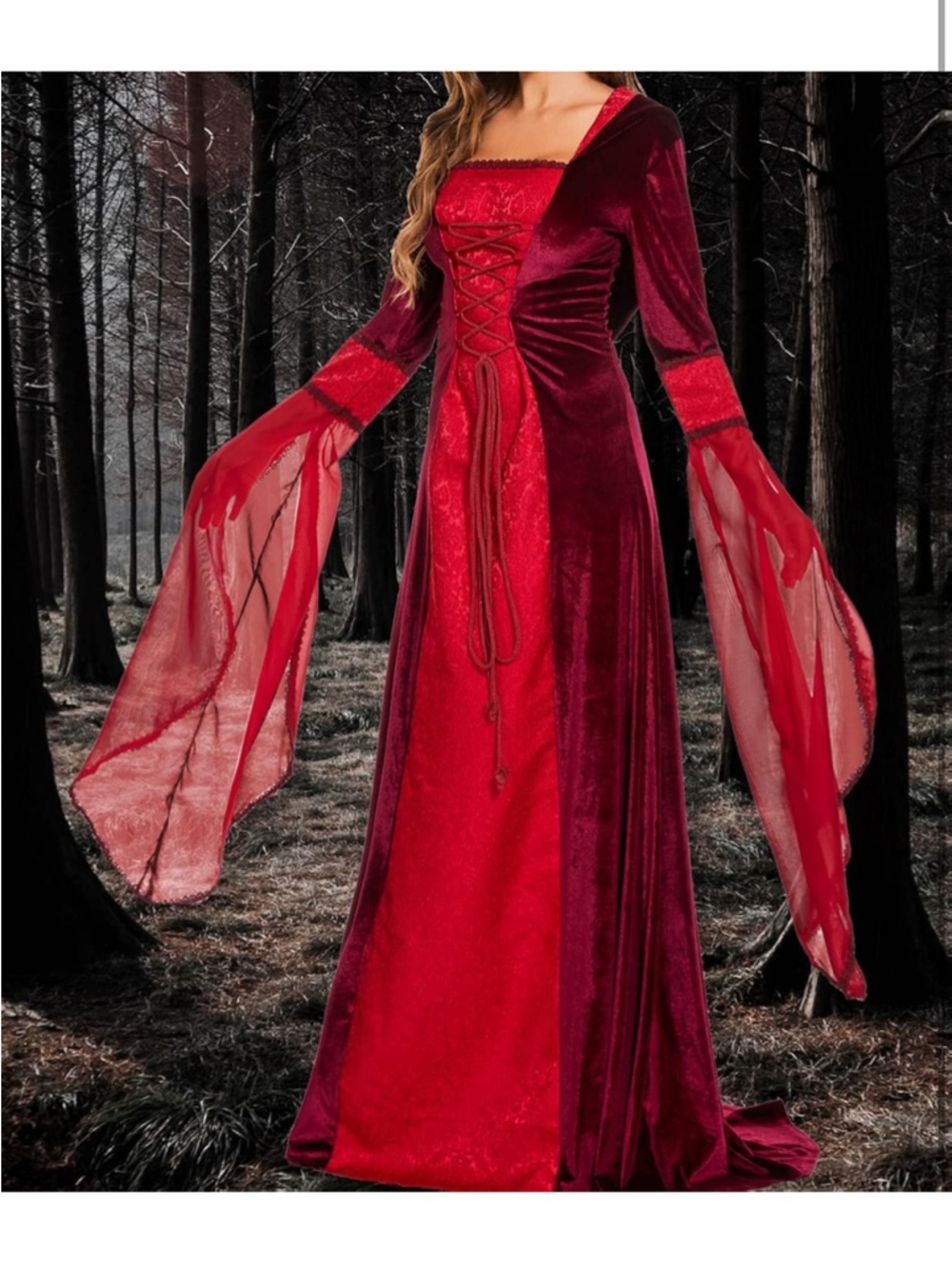 New Women XL Deluxe Witch Dress Costume, Vintage Embroidered Renaissance Gothic - Picture 4 of 13